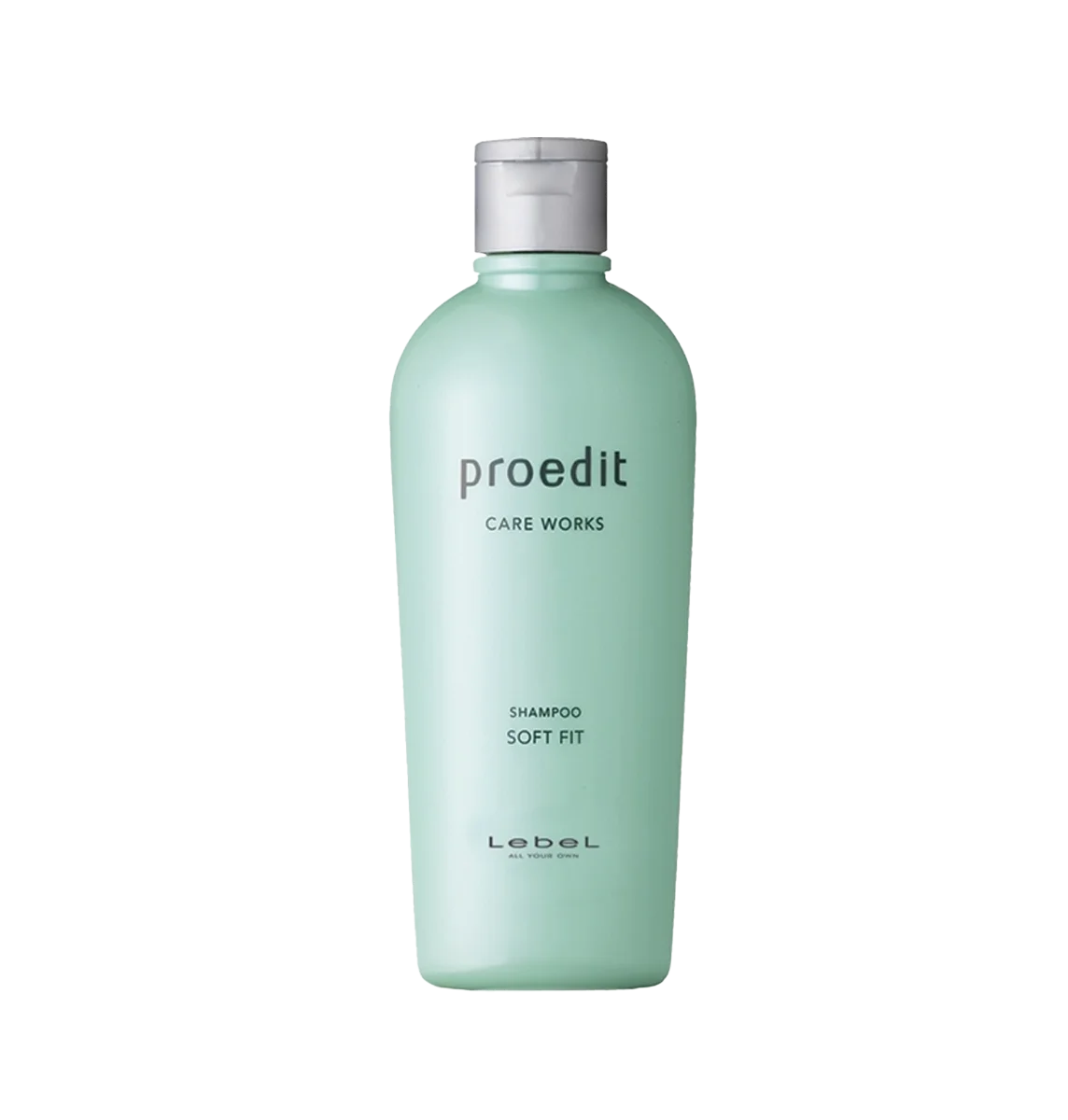 Restorative Shampoo For Dry Hair Lebel Proedit Soft Fit Hair Shampoo