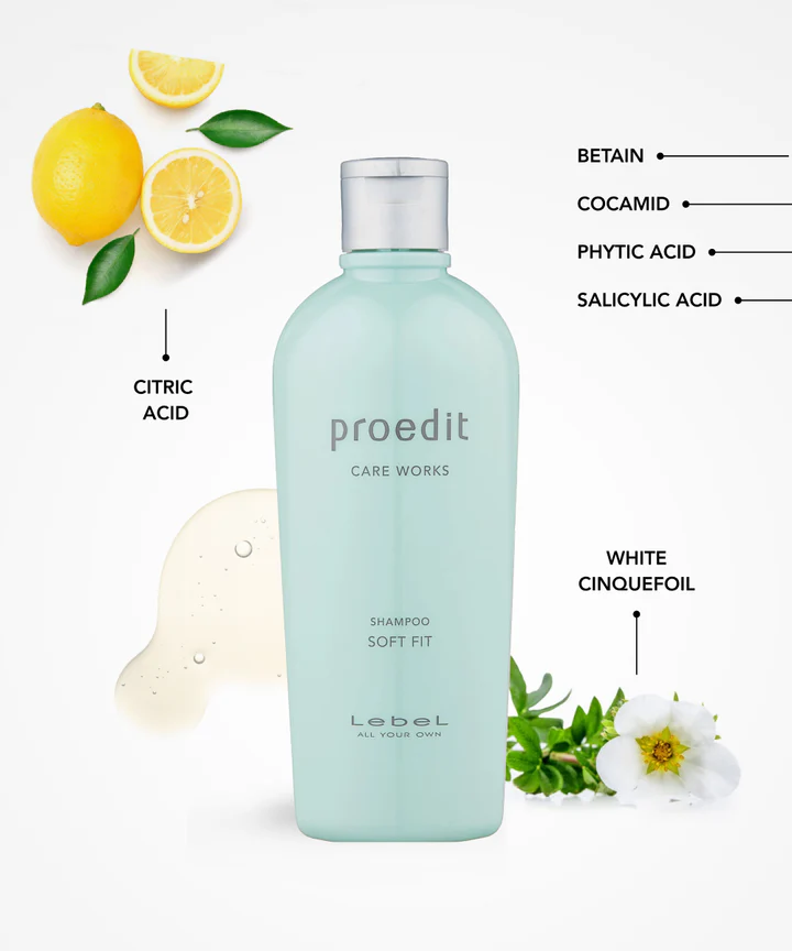 Taastav Šampoon Kuivadele Juustele Lebel Proedit Soft Fit Shampoo – 3